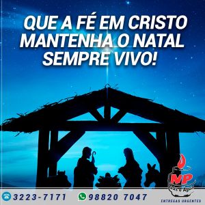 Leia mais sobre o artigo A beleza natalina em poucas palavras