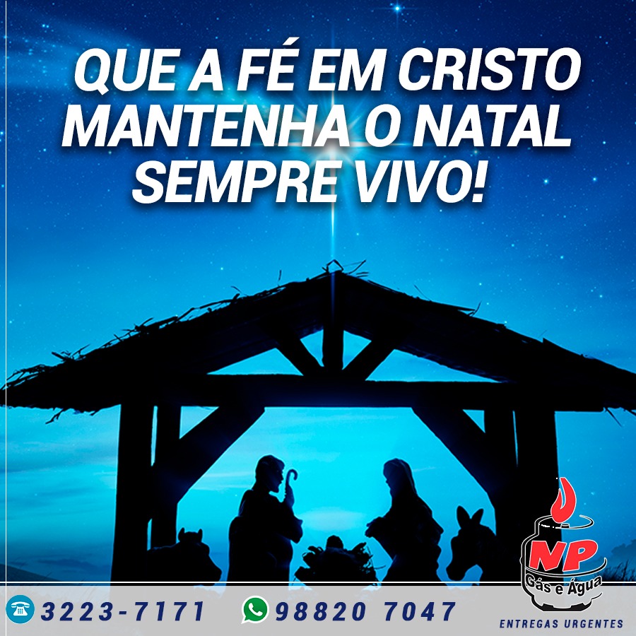 Leia mais sobre o artigo A beleza natalina em poucas palavras