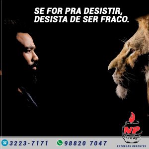 Leia mais sobre o artigo Np Post