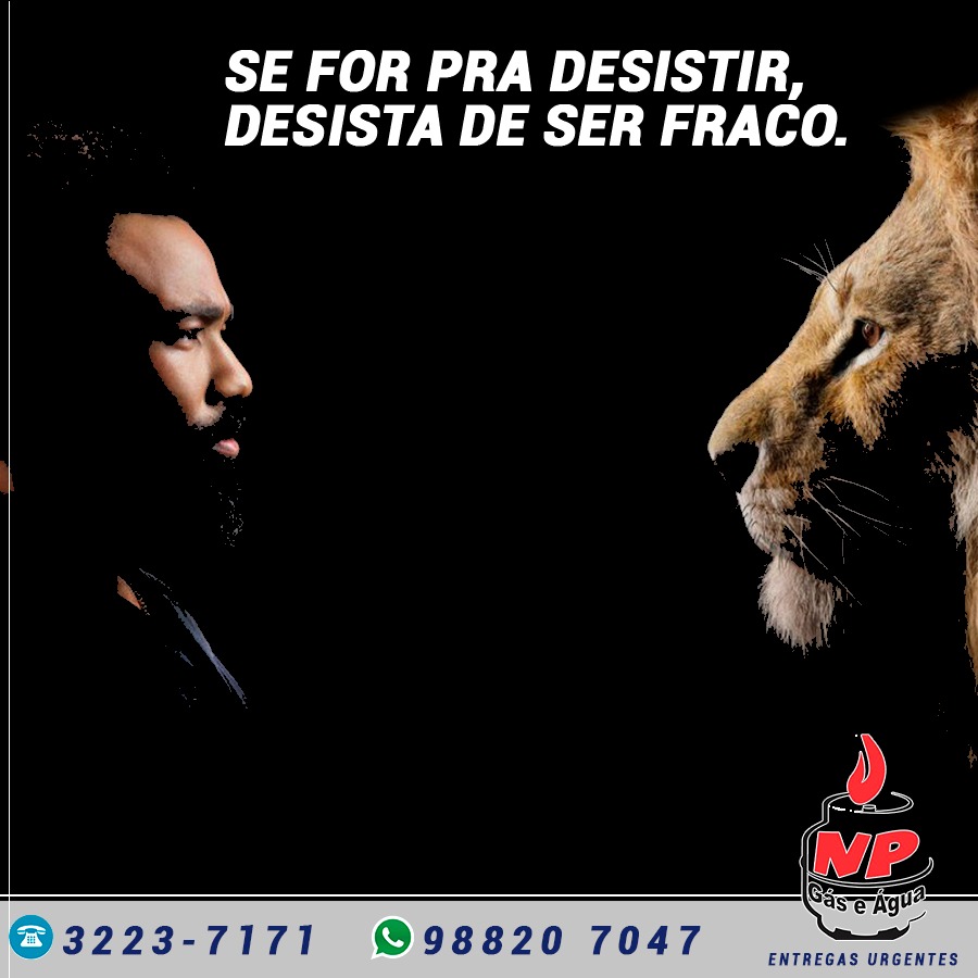 Leia mais sobre o artigo Np Post