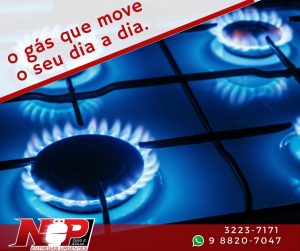 Leia mais sobre o artigo O gás que move o seu dia a dia