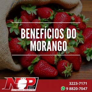 Leia mais sobre o artigo Benefícios do Morango