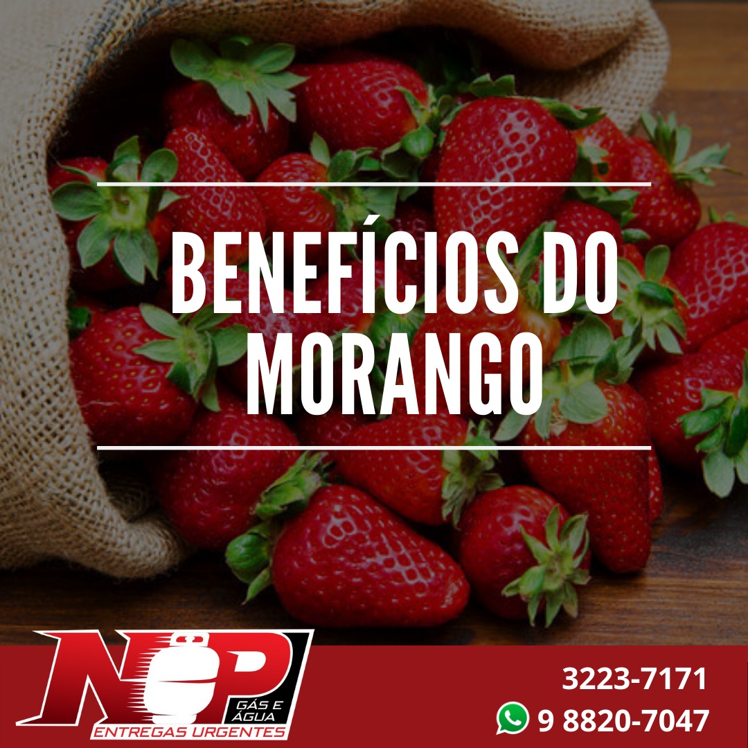 Leia mais sobre o artigo Benefícios do Morango