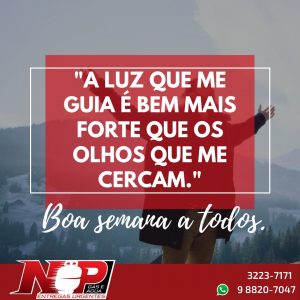 Leia mais sobre o artigo Np Post