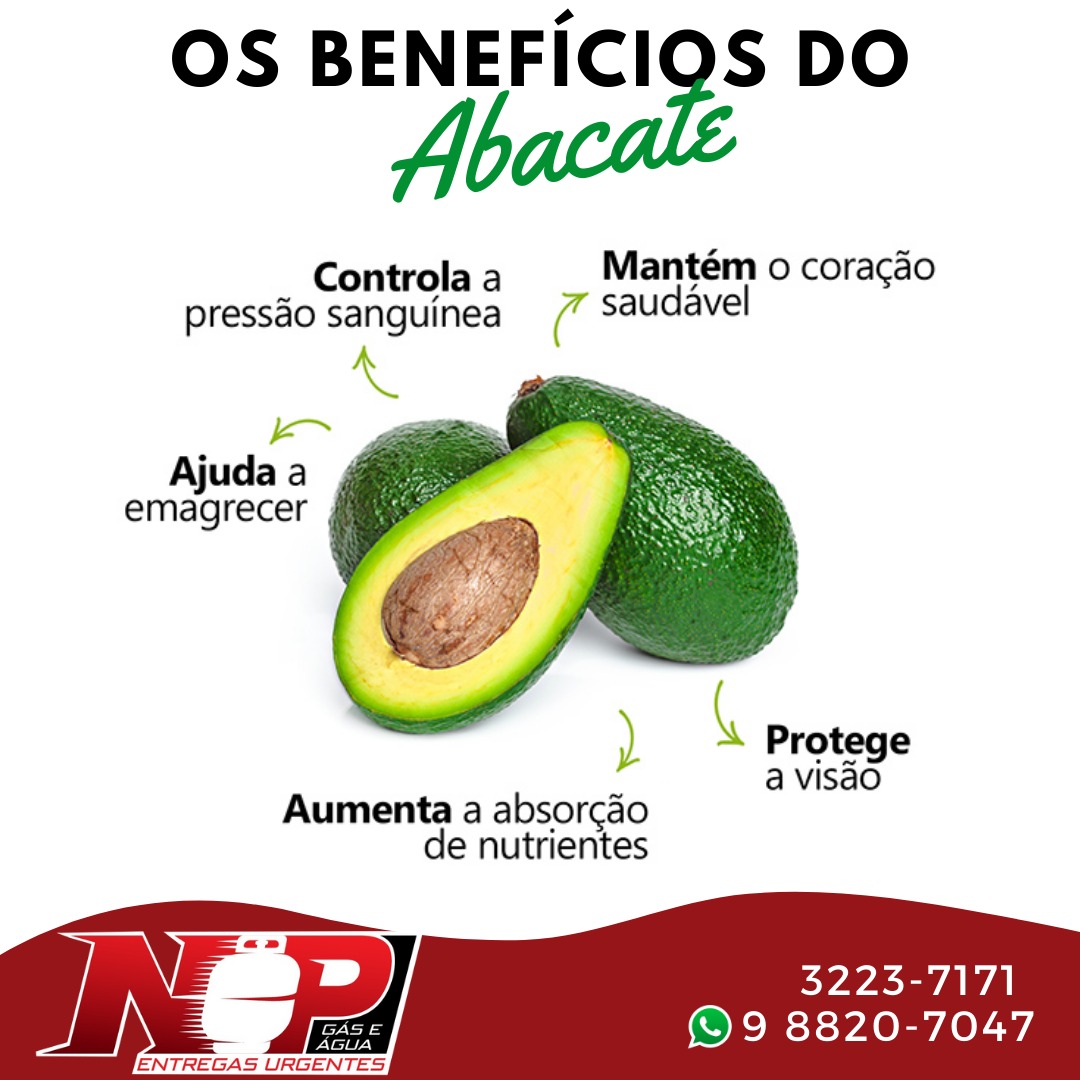No momento, você está visualizando Os benefícios do abacate