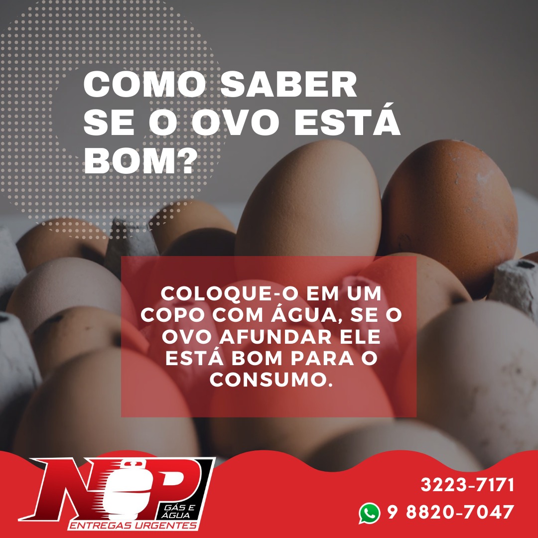 Leia mais sobre o artigo Como saber se o ovo está bom?