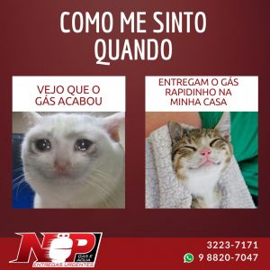 Leia mais sobre o artigo O gás acabou? Ligue Np Gás!