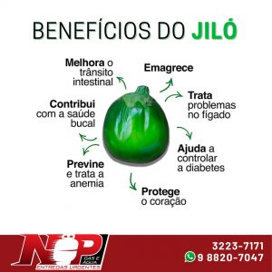 Leia mais sobre o artigo Benefícios do Jiló