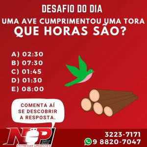 Leia mais sobre o artigo Desafio do Dia