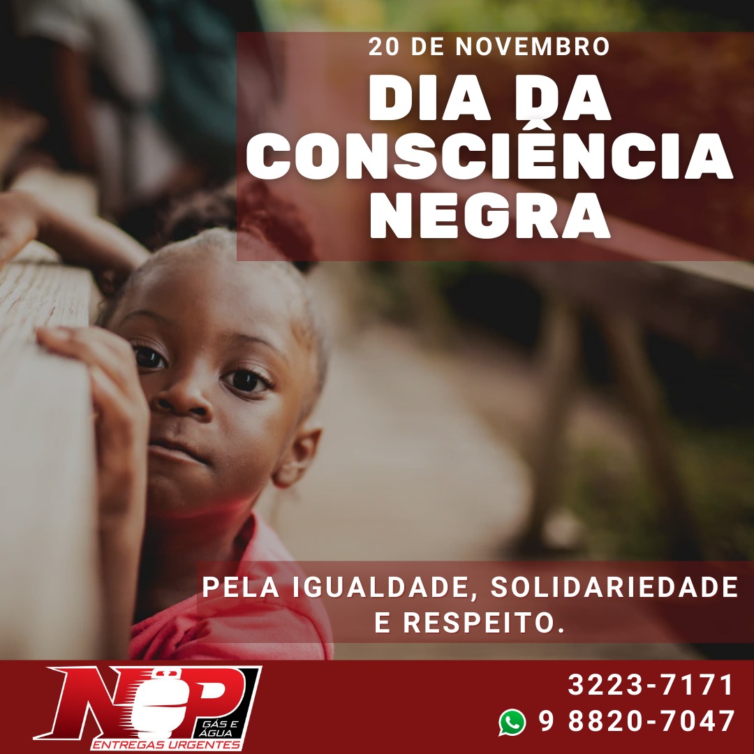 Leia mais sobre o artigo Dia da Consciência Negra