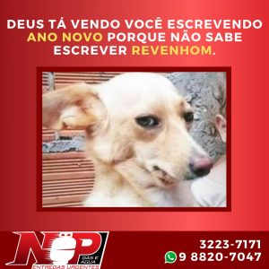 Leia mais sobre o artigo Np Post