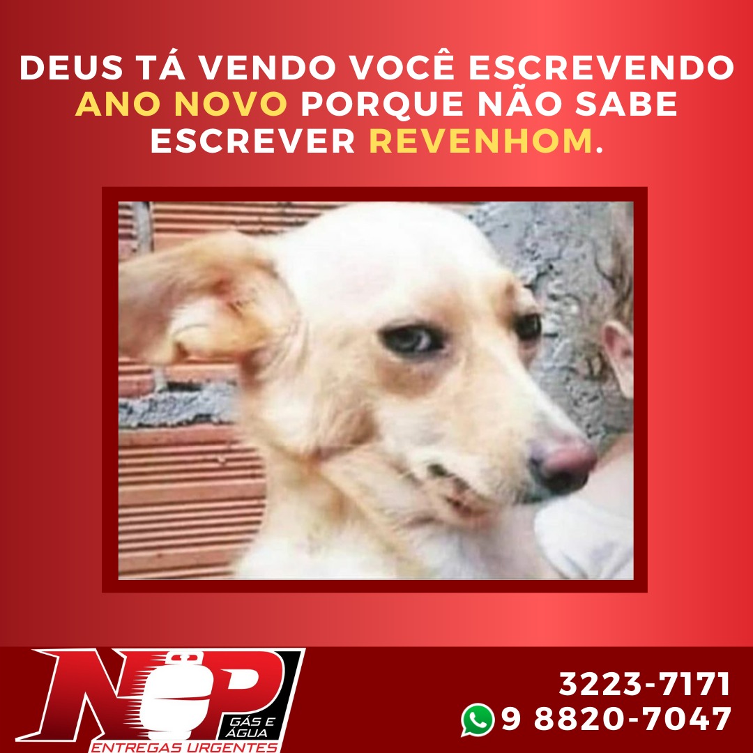 No momento, você está visualizando Np Post