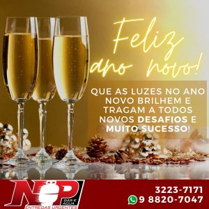 Leia mais sobre o artigo Feliz Ano Novo!