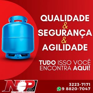 Leia mais sobre o artigo Tudo isso você encontra no Np Gás!