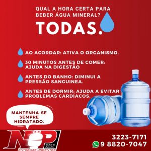 Leia mais sobre o artigo Qual a hora certa para beber água mineral?