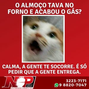 Leia mais sobre o artigo O almoço estava no forno e acabou o gás?