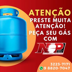 Leia mais sobre o artigo Peça seu gás no Np!