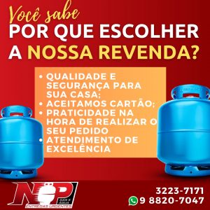 Leia mais sobre o artigo Por que escolher a nossa revenda?
