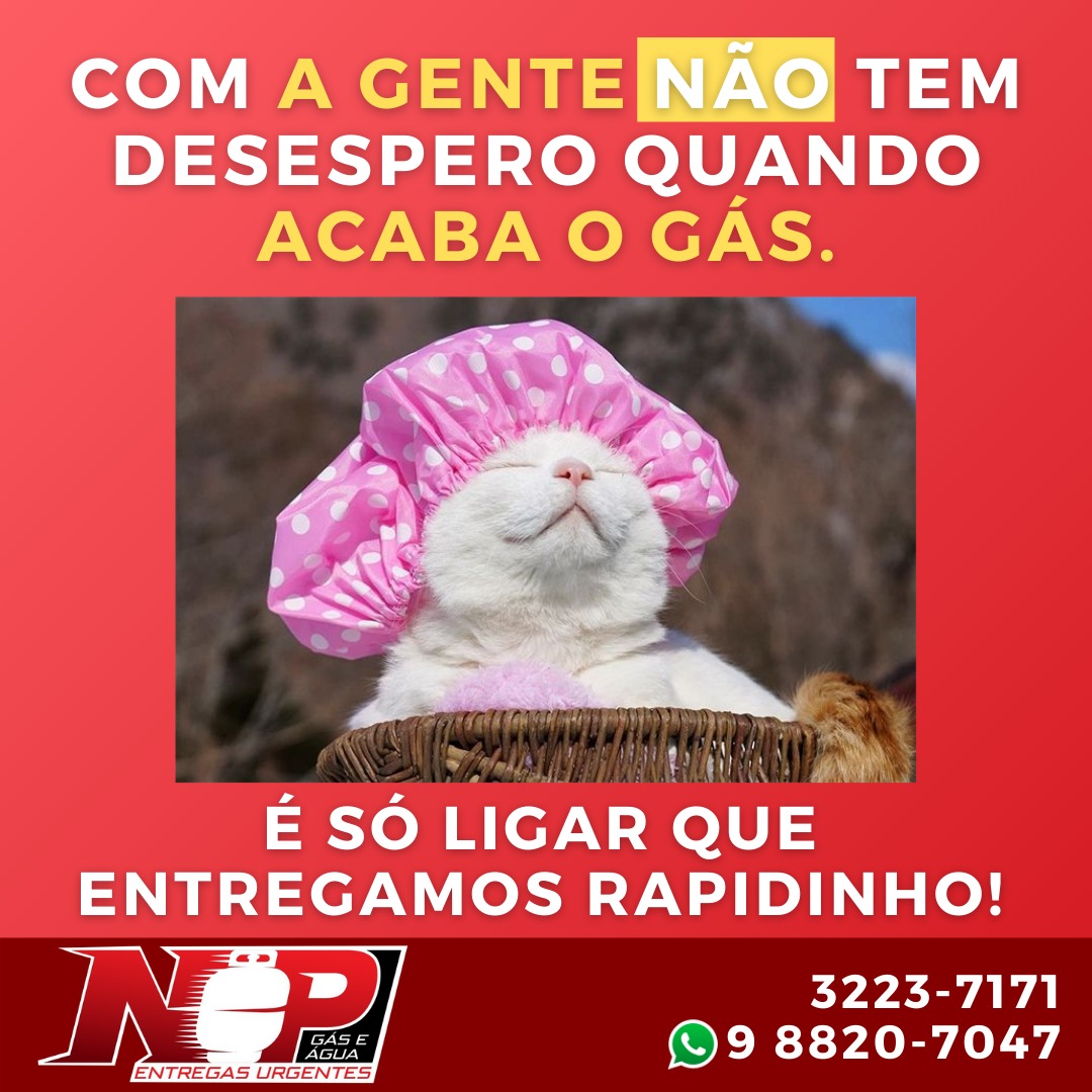 No momento, você está visualizando Entregamos rapidinho!