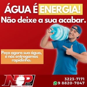 Leia mais sobre o artigo Água é essencial!