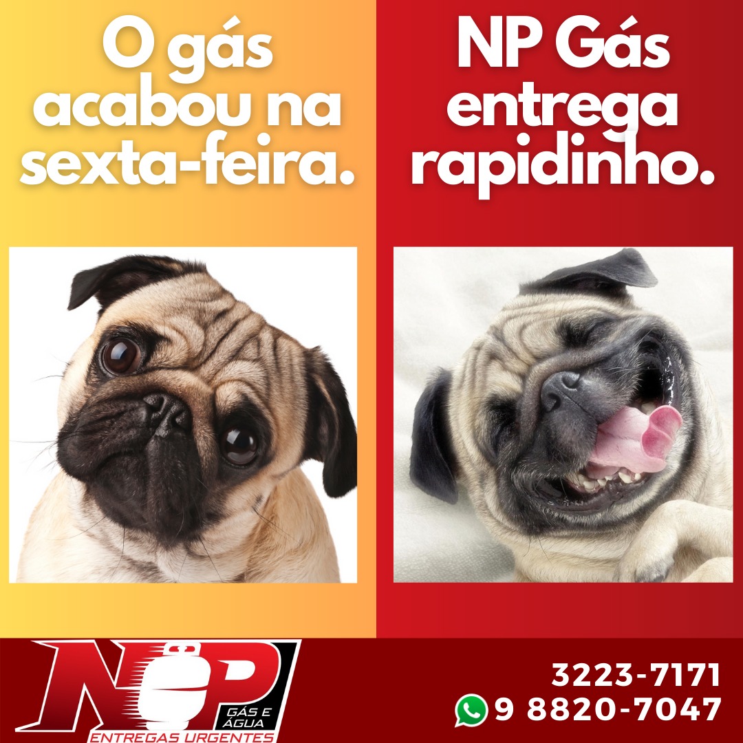 Leia mais sobre o artigo Pensou em gás, Pensou em Np Gás e Água