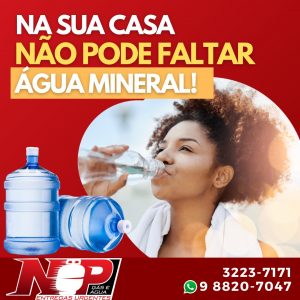 Leia mais sobre o artigo Não Pode Faltar Água!