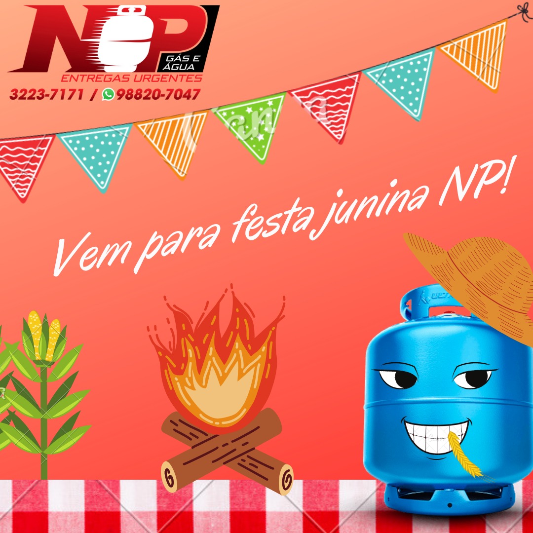 Leia mais sobre o artigo Vem para festa junina NP!
