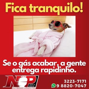 Leia mais sobre o artigo Fica tranquilo! Se o gás acabar, a gente entrega rapidinho.