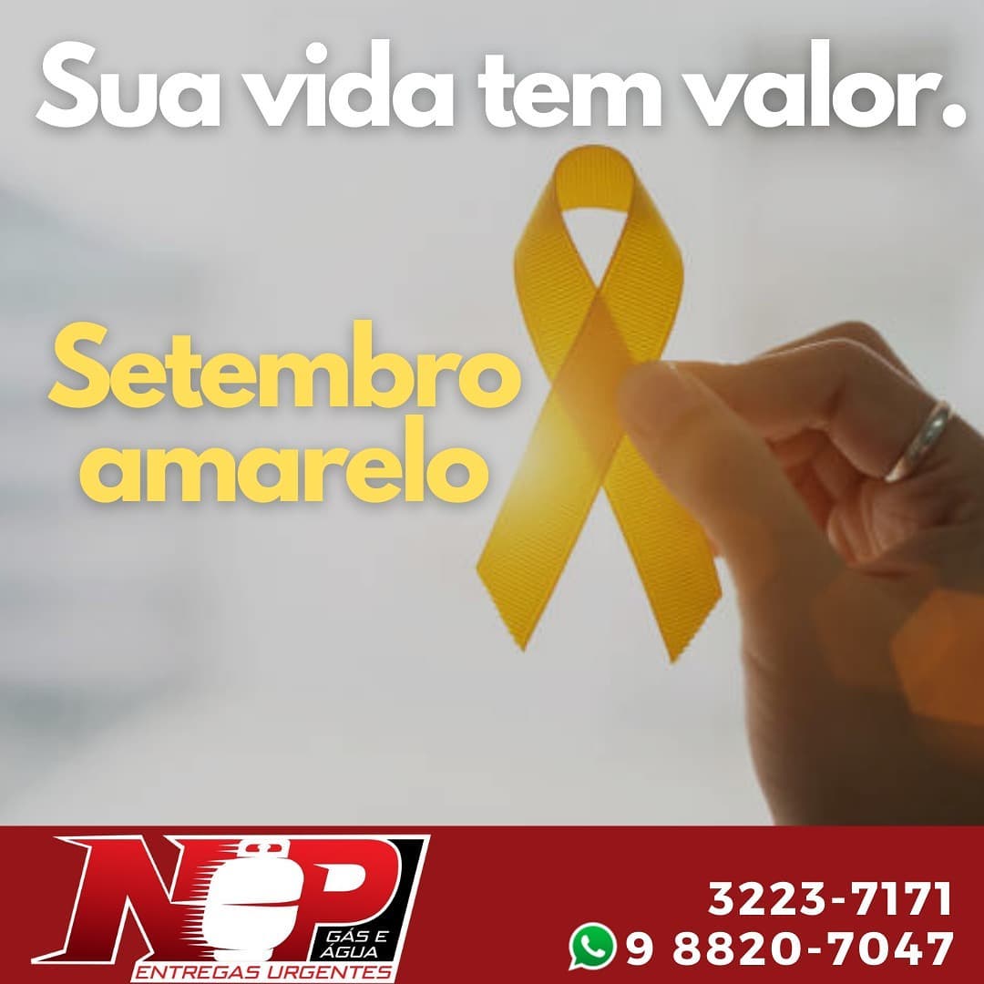 Leia mais sobre o artigo 