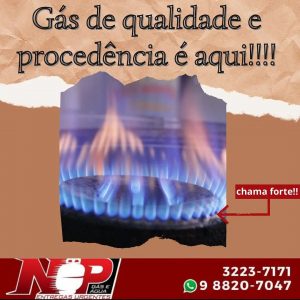 Leia mais sobre o artigo Procedência e qualidade você encontra aqui!