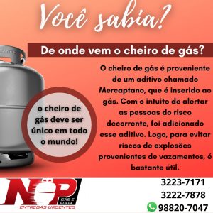 Leia mais sobre o artigo Você sabia?