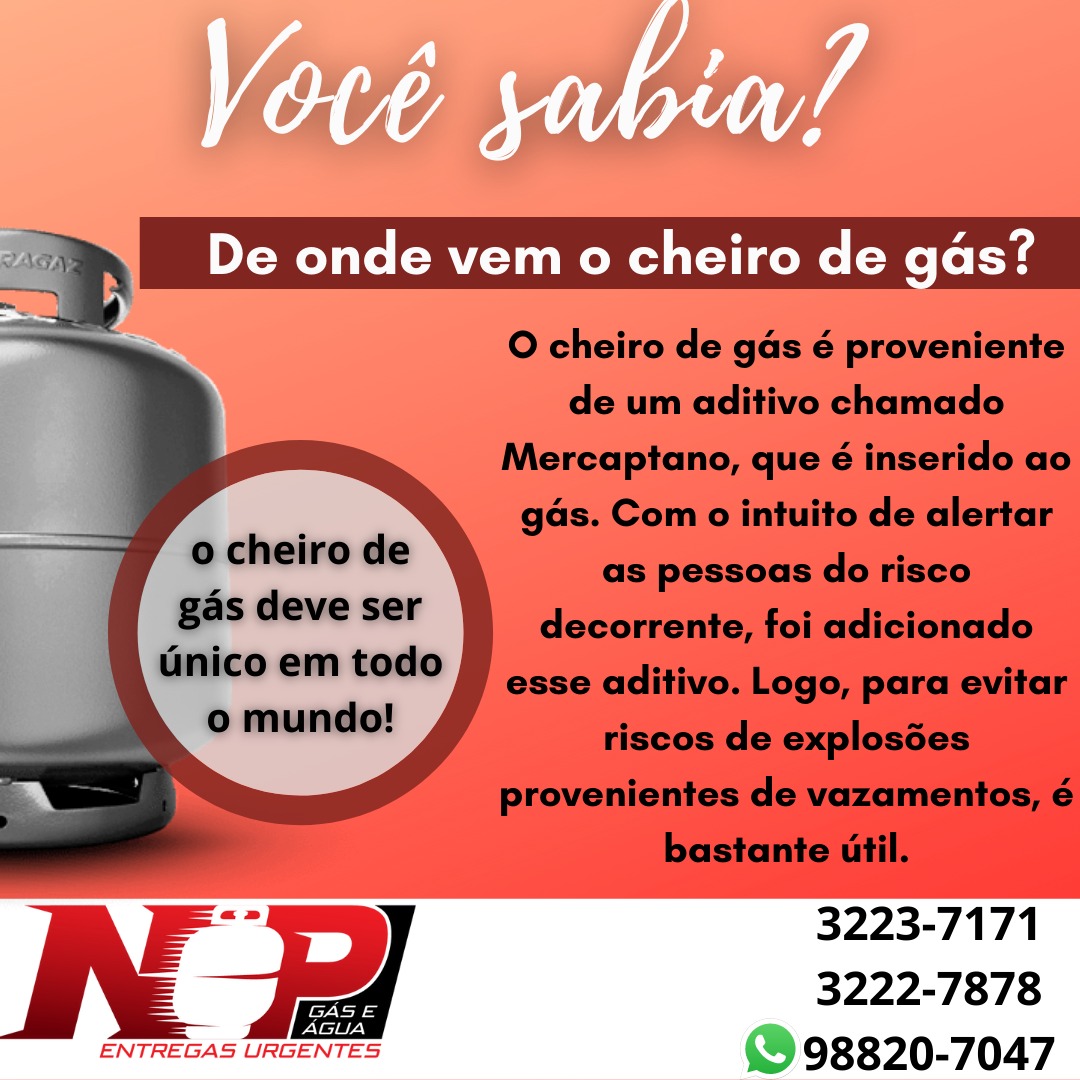 Leia mais sobre o artigo Você sabia?