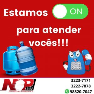 Leia mais sobre o artigo 