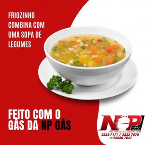 Leia mais sobre o artigo RECEITAS  NP