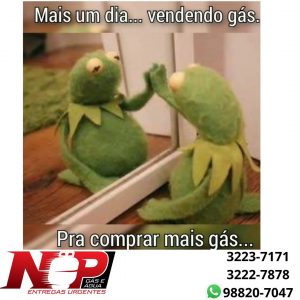 Leia mais sobre o artigo MAIS UMA DIA ..