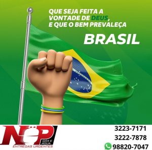 Leia mais sobre o artigo BRASIL